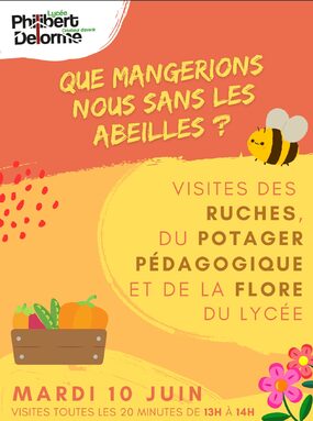 Que mangerions nous sans les abeilles.jpg