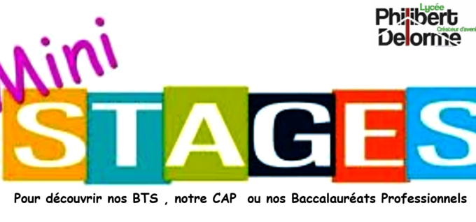 mini stage Delorme.png