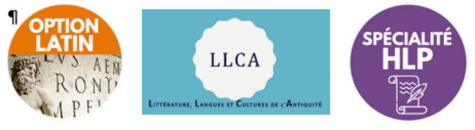 Latin LLCA HLP.png