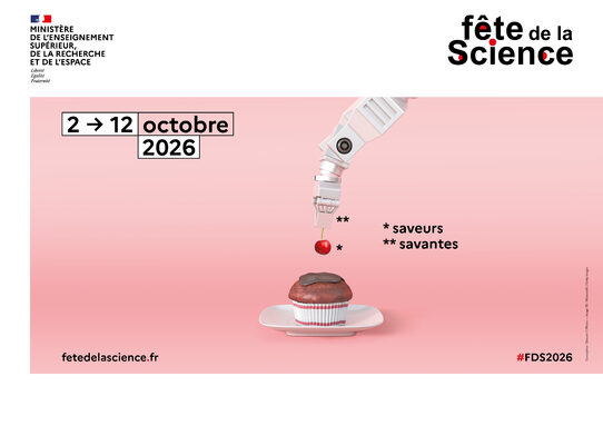 FDS26_affiche_print_420x297_RVB.jpg