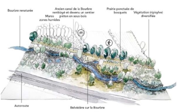 Etude de terrain renaturation de la Bourbre(3).jpg
