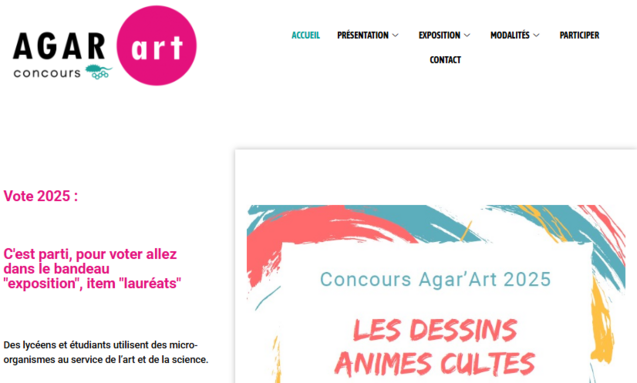 Capture d'écran 2025-05-27 083652.png